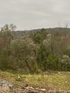Prodaja, plac, 707m², Luštica, Herceg Novi - image 4