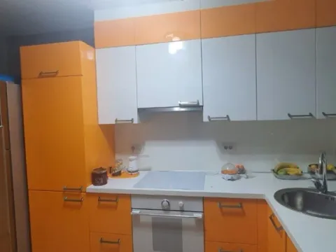 Izdavanje, kuća, 200m², Podgorica, Crna Gora - image 2