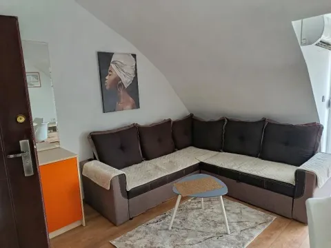 Izdavanje, jednosoban stan, 46m², Zabjelo, Podgorica - image 1