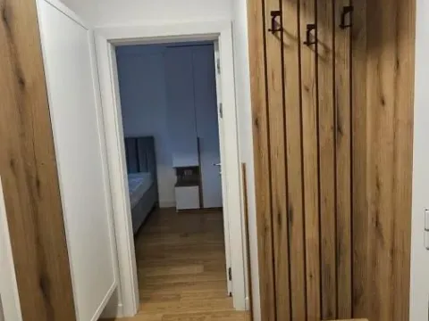 Izdavanje, dvosoban stan, 47m², Vračar Sve Podlokacije, Beograd - image 11