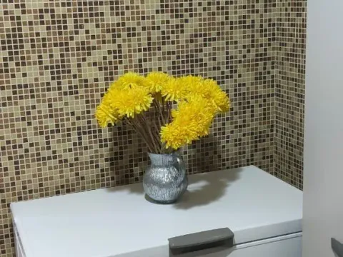 Prodaja, kuća, 254m², Dobre Vode, Bar - image 20