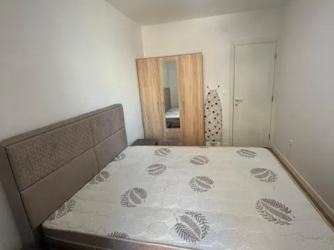 Izdavanje, jednosoban stan, 50m², Central Point, Podgorica - image 9
