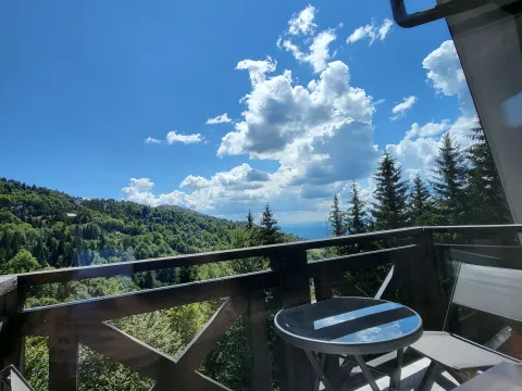Prodaja, garsonjera, 27m², Treska, Kopaonik - image 3