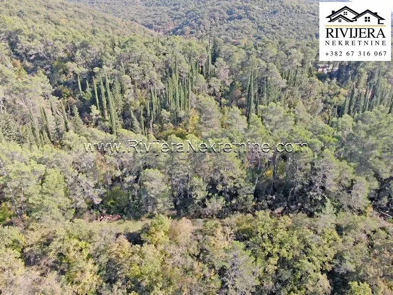 Prodaja, plac, 33385m², Sutorina, Herceg Novi