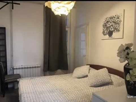 Rent, one bedroom apartment, 45m², Slavija, Vračar Sve Podlokacije - image 5