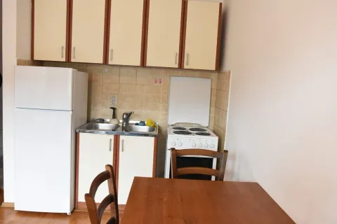 Mala funkcionalna kuhinja sa trpezarijskim stolom i osnovnim aparatima. - image 7