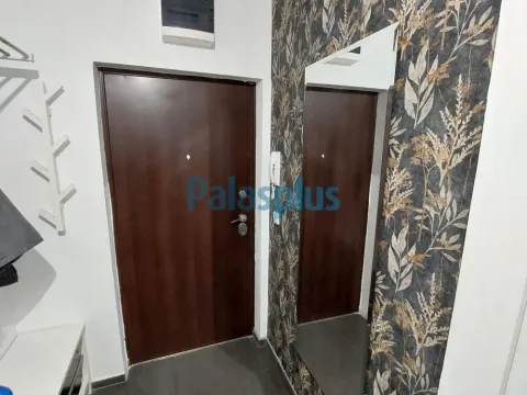 Izdavanje, jednosoban stan, 31m², Olimp, Zvezdara Sve Podlokacije - image 7