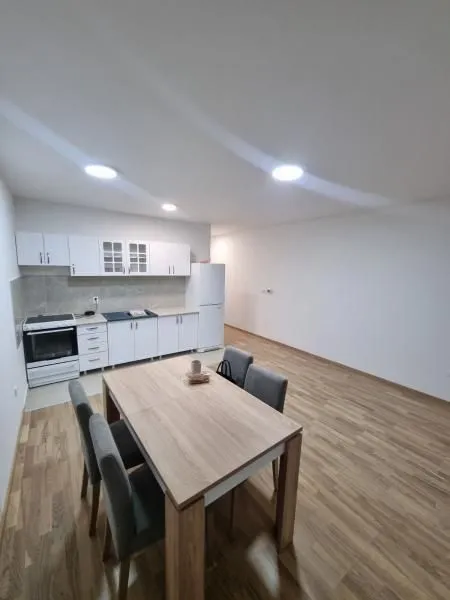 Rent, one bedroom apartment, 40m², Adice, Novi Sad Sve Podlokacije