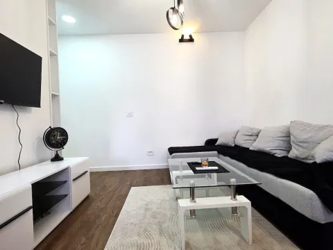Rent, apartment, 45m², Zagorič, Podgorica - image 3