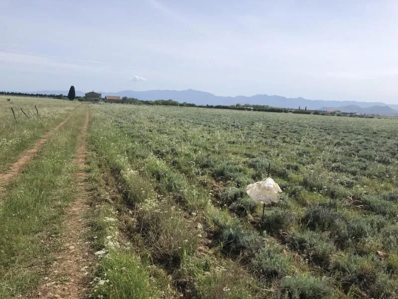 Sale, land lot, 4675m², Podgorica, Crna Gora