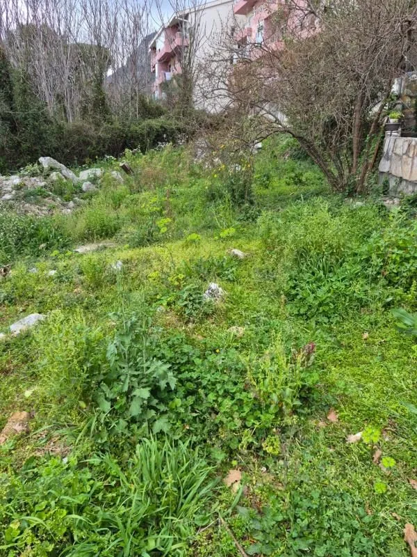 Prodaja, plac, 338m², Lazi, Budva