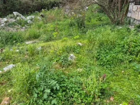 Prodaja, plac, 338m², Lazi, Budva - image 2