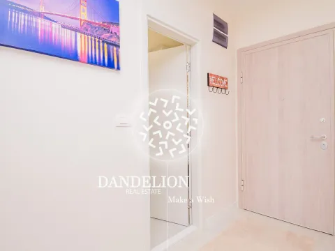 Izdavanje, jednosoban stan, 40m², Central Point, Podgorica - image 13