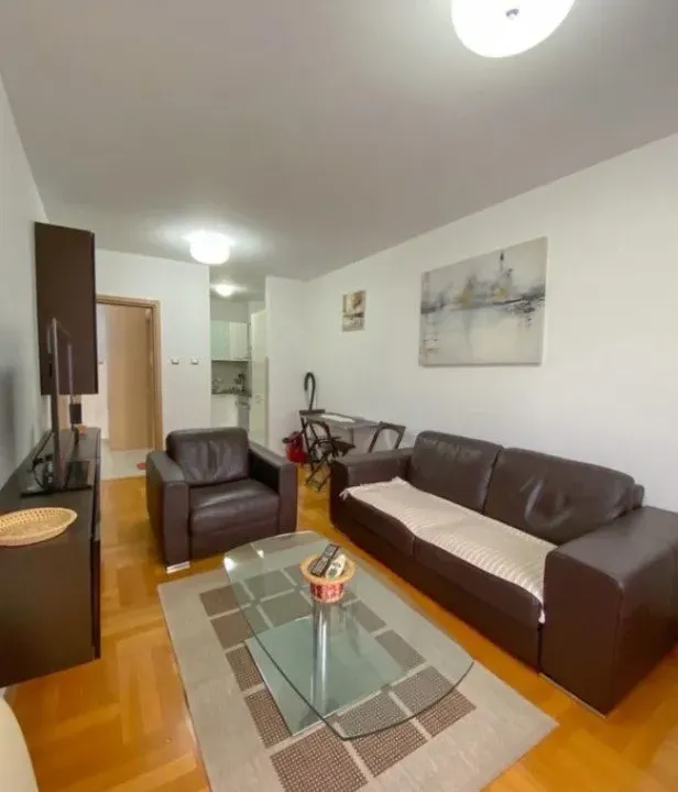 Izdavanje, jednosoban stan, 45m², Preko Morače, Podgorica