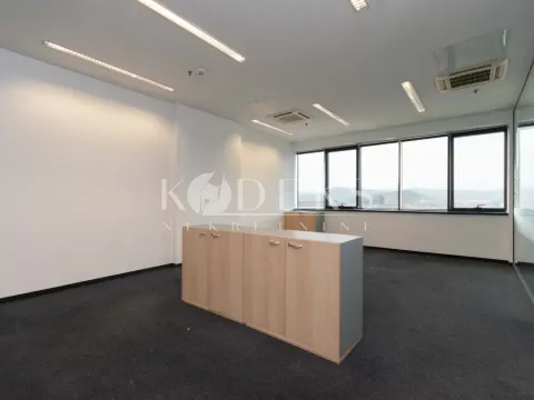 Izdavanje, poslovni prostor, 318m², Preko Morače, Podgorica - image 10
