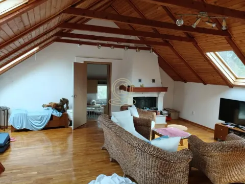 Sale, house, 191m², Baćevac, Barajevo - image 5