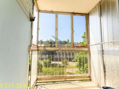 Sale, three bedroom apartment, 71m², Hala Pionir, Palilula Sve Podlokacije - image 17