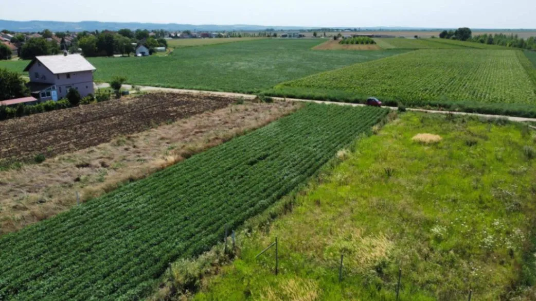 Sale, land lot, 611m², Rumenka, Novi Sad Sve Podlokacije