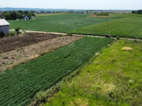 Sale, land lot, 611m², Rumenka, Novi Sad Sve Podlokacije