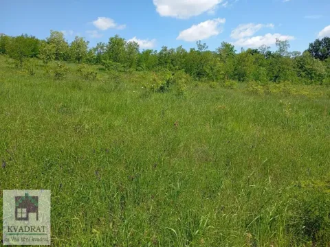 Sale, land lot, 2000m², Jasenak, Obrenovac - image 3