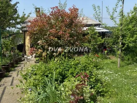 Prodaja, kuća, 61m², Sremska Kamenica, Petrovaradin - image 2