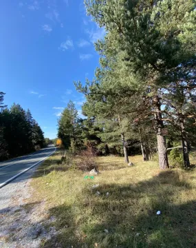Prodaja, plac, 48088m², Borje, Žabljak - image 4