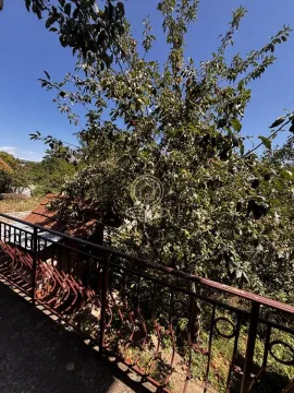 View of the yard and orchard from the terrace. - image 11