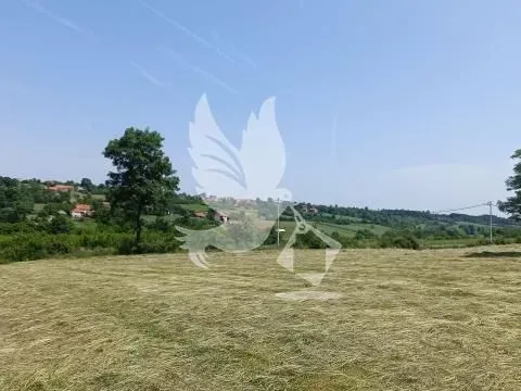 Prodaja, plac, 6951m², Velika Ivanča, Mladenovac - image 2