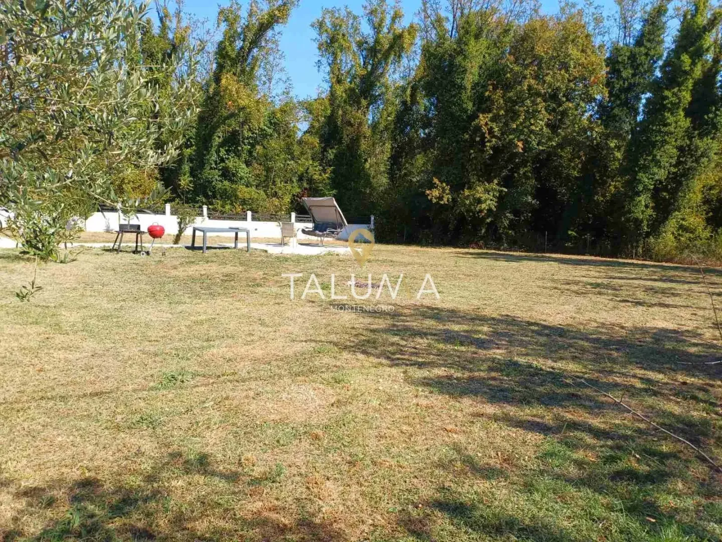 Spacious grassy yard with trees and outdoor furniture.