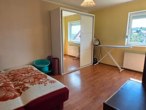 Prodaja, kuća, 312m², Bukovački plato, Petrovaradin - image 7