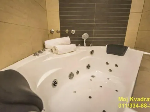 Izdavanje, dvosoban stan, 150m², Šumice, Beograd - image 11