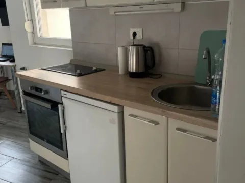 Rent, studio apartment, 28m², Golubovina, Budva - image 3