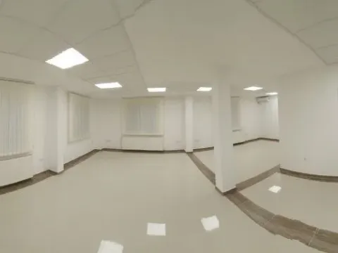 Izdavanje, poslovni prostor, 5000m², Dobanovci, Surčin - image 5