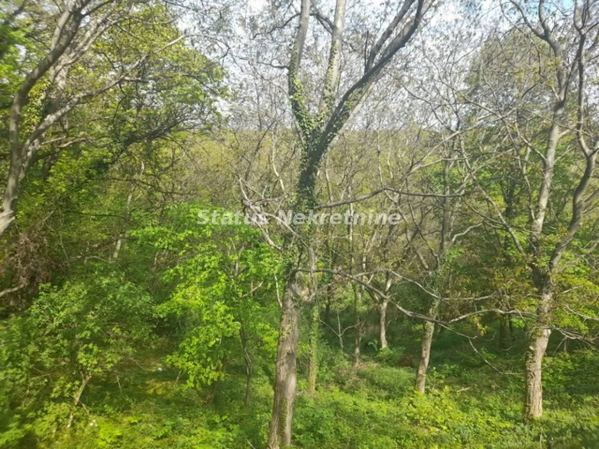 Sale, land lot, 9283m², Irig, Srbija