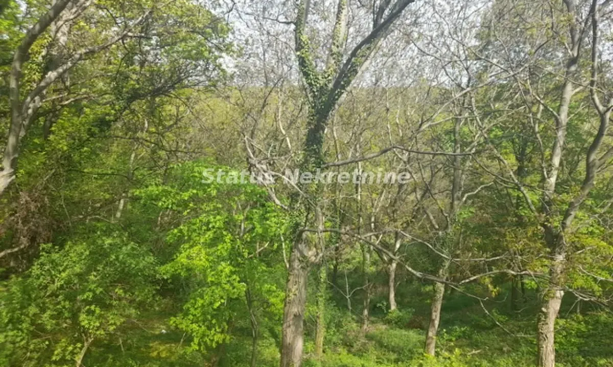 Prodaja, plac, 9283m², Irig, Srbija