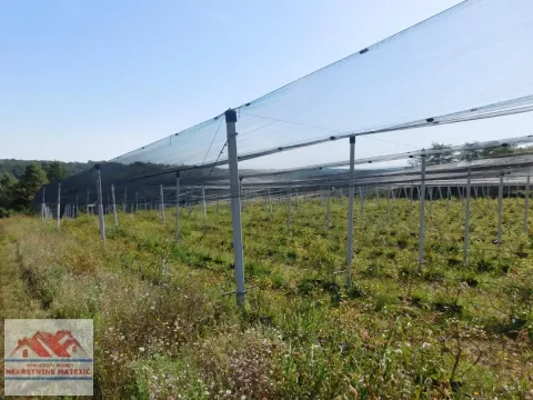 Sale, land lot, 350m², Kragujevac, Srbija - image 27