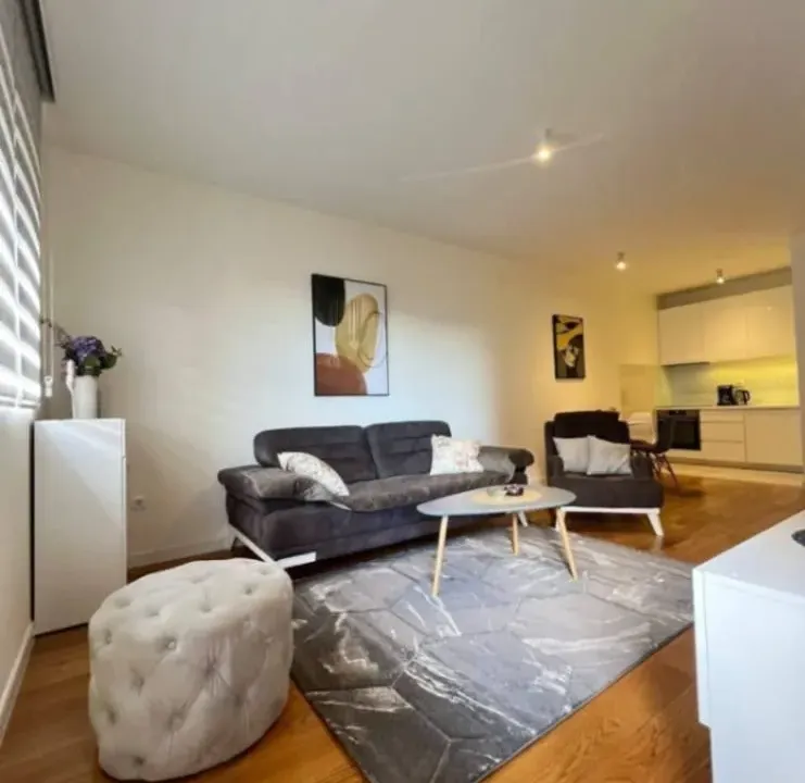 Sale, one bedroom apartment, 49m², Central Point, Podgorica