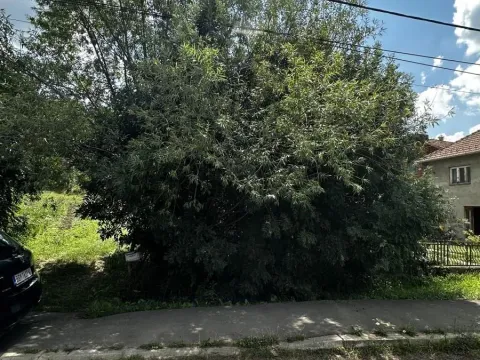 Sale, land lot, 4600m², Vrčin, Grocka - image 5