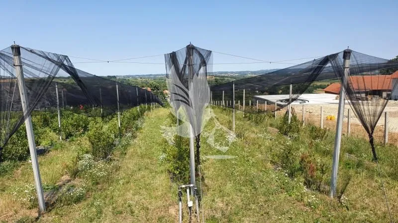 Prodaja, plac, 8874m², Nemenikuće, Sopot