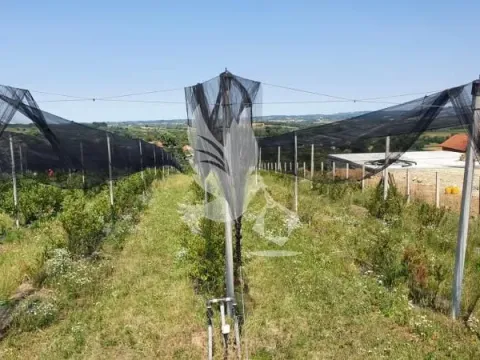 Prodaja, plac, 8874m², Nemenikuće, Sopot - image 2