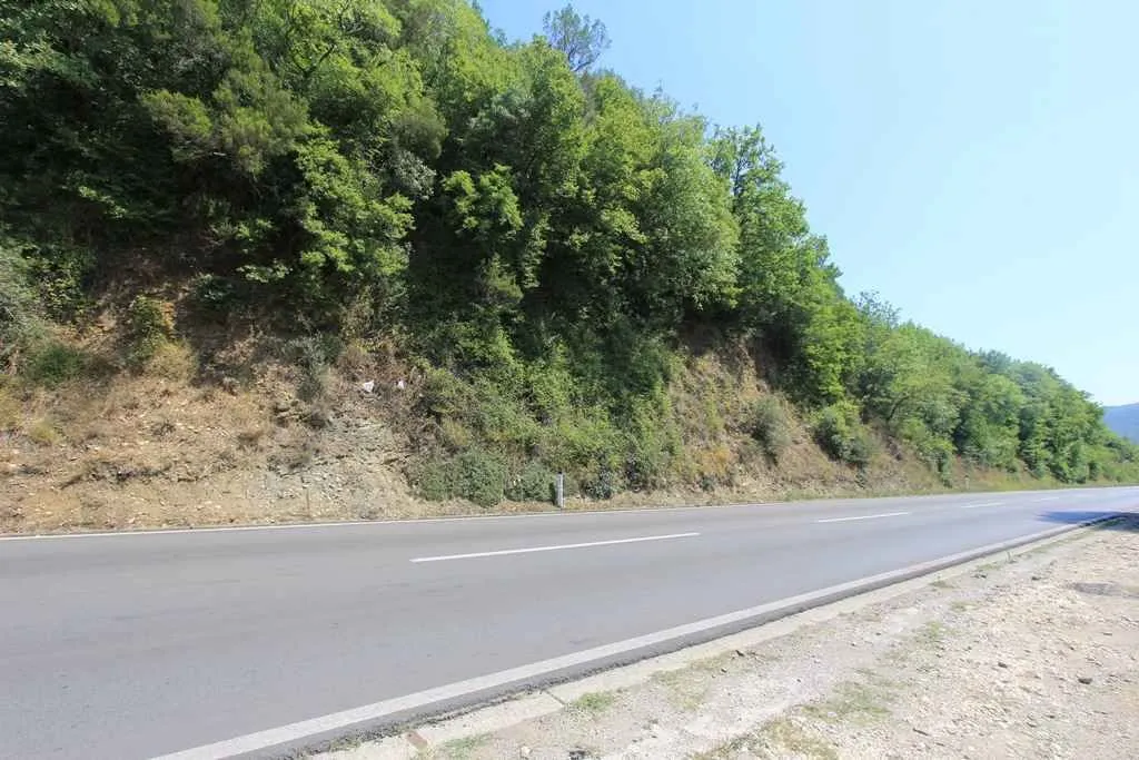 Zemljište uz asfaltni put okruženo zelenilom.