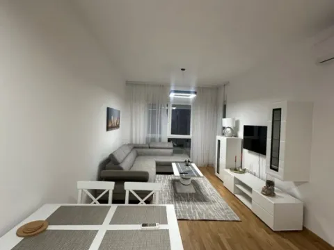 Izdavanje, jednosoban stan, 47m², Zabjelo, Podgorica - image 4