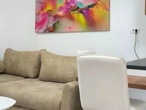 Rent, one bedroom apartment, 30m², Master Kvart, Podgorica - image 2