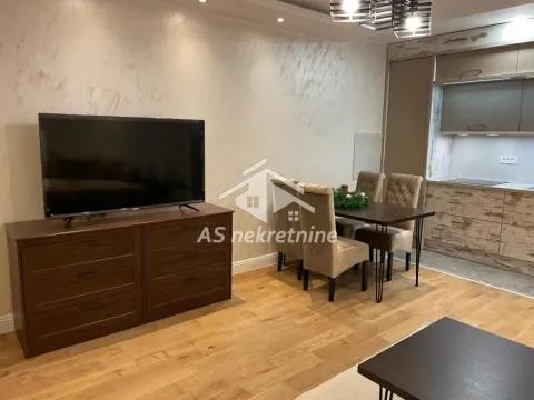 Izdavanje, dvosoban stan, 42m², Vračar Sve Podlokacije, Beograd - image 5