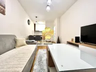 Izdavanje, jednosoban stan, 50m², Central Point, Podgorica - image 2