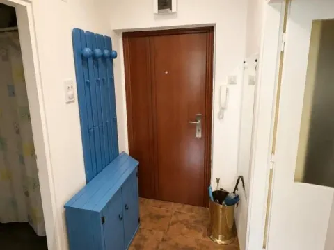 Prodaja, dvosoban stan, 47m², Detelinara, Novi Sad Sve Podlokacije - image 8