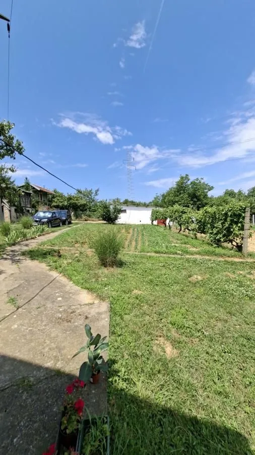 Prodaja, plac, 3000m², Bocke, Petrovaradin