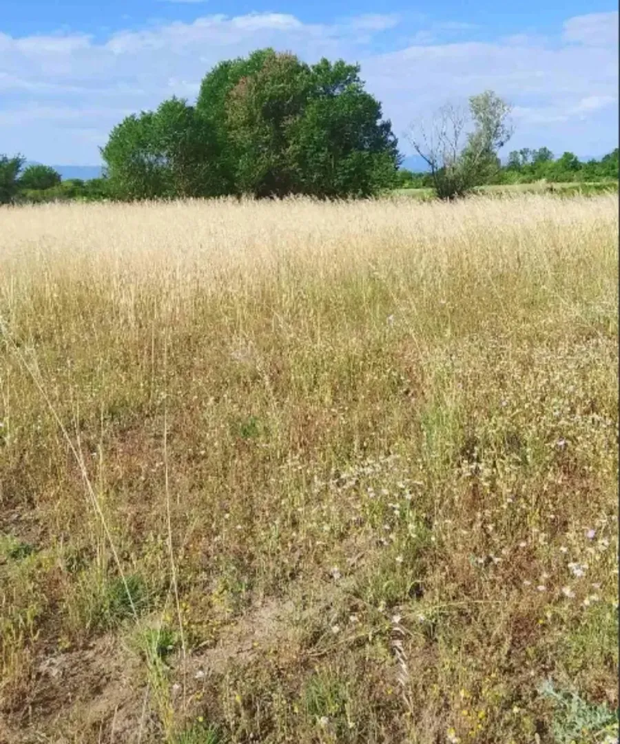 Prodaja, plac, 1340m², Velje Brdo, Podgorica