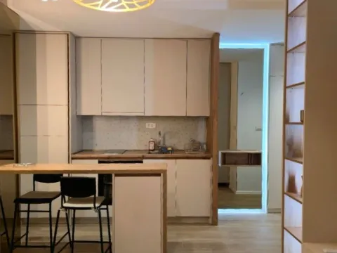 Izdavanje, garsonjera, 23m², Preko Morače, Podgorica - image 8