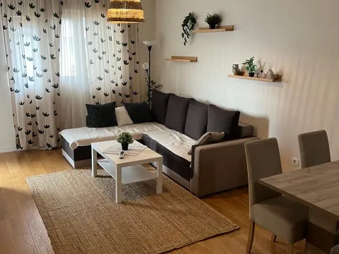 Izdavanje, jednosoban stan, 49m², Central Point, Podgorica - image 2